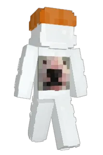 chudcatt Minecraft avatar full body