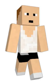 chudy1502 Minecraft avatar full body