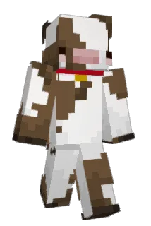 chunkysock Minecraft avatar full body