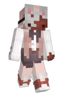 chupji Minecraft avatar full body