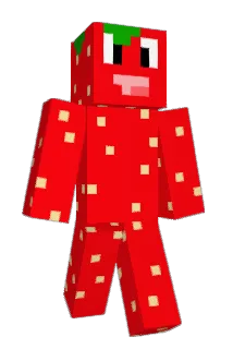chxrile Minecraft avatar full body