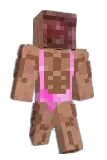 chypixel Minecraft avatar full body