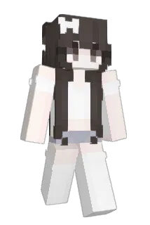 cia988 Minecraft avatar full body