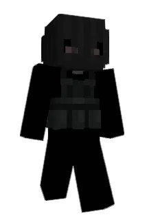 cions Minecraft avatar full body