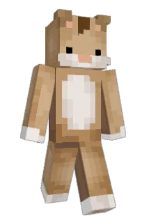 circlemoon Minecraft avatar full body