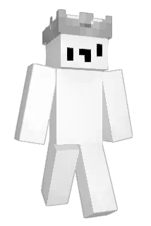 citronconfit Minecraft avatar full body