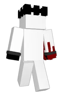 citrouil Minecraft avatar full body