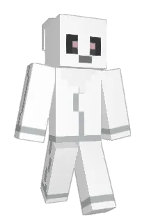 clest64 Minecraft avatar full body