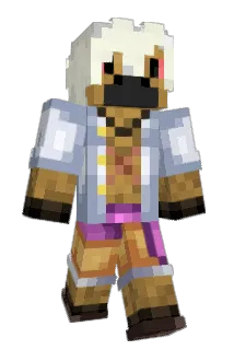 clooneen300 Minecraft avatar full body