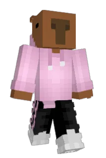 cloudybara Minecraft avatar full body