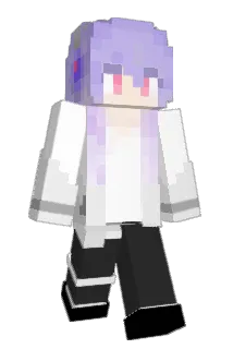 clut2233 Minecraft avatar full body