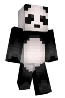 cm901 Minecraft avatar full body