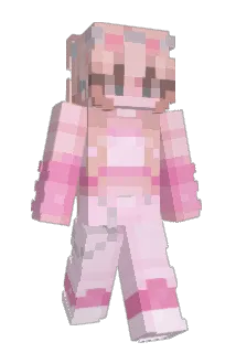 cmT969 Minecraft avatar full body