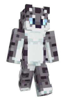 cnw Minecraft avatar full body