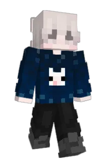 co5ine Minecraft avatar full body