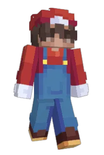 coIdified Minecraft avatar full body