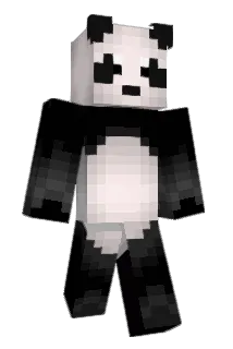 coconut_hat Minecraft avatar full body