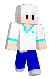 code255 Minecraft avatar full body