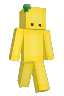 coderoker Minecraft avatar full body