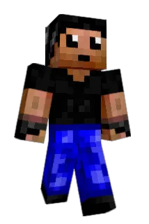 codisc Minecraft avatar full body