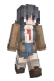 coemer Minecraft avatar full body