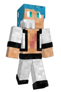 cofipacoti Minecraft avatar full body