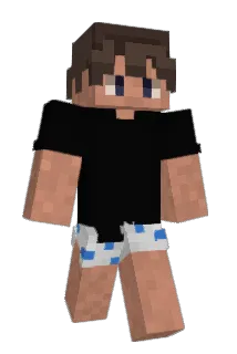 coimare Minecraft avatar full body
