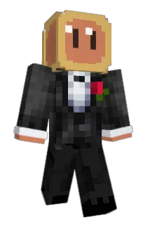 coinUA Minecraft avatar full body