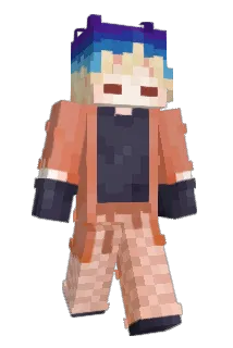 coinpin Minecraft avatar full body