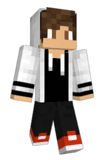 col02bros Minecraft avatar full body