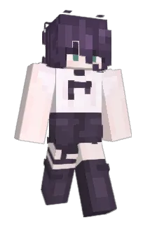 collin3110 Minecraft avatar full body