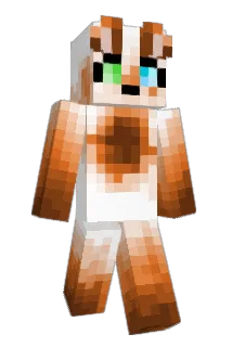 colorfulfoxes Minecraft avatar full body
