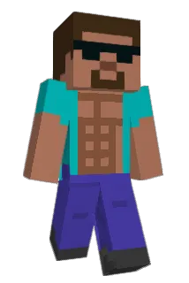 coltdendulk Minecraft avatar full body