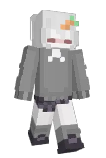 colwynn Minecraft avatar full body