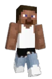 compvct Minecraft avatar full body