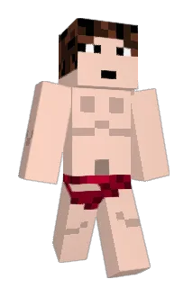 comzander Minecraft avatar full body