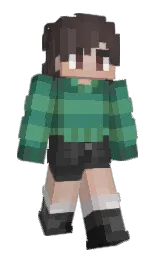 Custom render preview