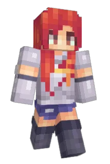 concinnities Minecraft avatar full body