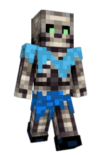 cones4life Minecraft avatar full body