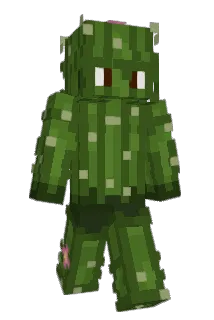 confettye Minecraft avatar full body