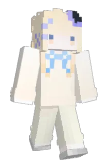 confina Minecraft avatar full body