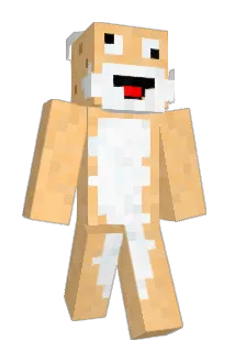 conflcl Minecraft avatar full body