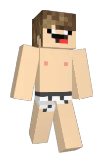 conishun Minecraft avatar full body