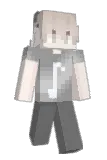 connee Minecraft avatar full body