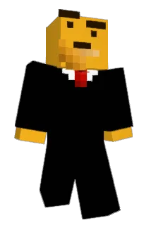 connooristox Minecraft avatar full body