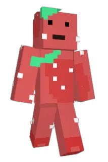 conpako123 Minecraft avatar full body
