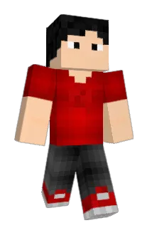 constructiblox Minecraft avatar full body