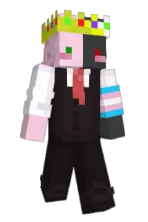 conyDJ2462 Minecraft avatar full body