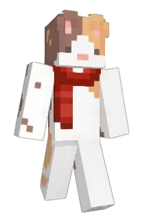 conzueloo Minecraft avatar full body