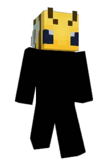 cookd_meat20 Minecraft avatar full body